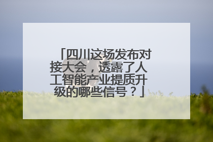 四川这场发布对接大会，透露了人工智能产业提质升级的哪些信号？