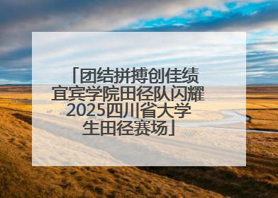团结拼搏创佳绩 宜宾学院田径队闪耀2025四川省大学生田径赛场
