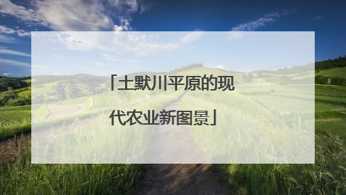土默川平原的现代农业新图景