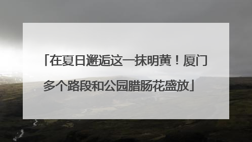 在夏日邂逅这一抹明黄！厦门多个路段和公园腊肠花盛放
