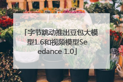 字节跳动推出豆包大模型1.6和视频模型Seedance 1.0