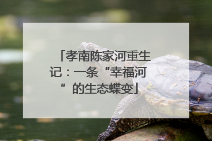 孝南陈家河重生记：一条“幸福河”的生态蝶变