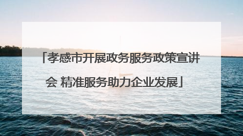 孝感市开展政务服务政策宣讲会 精准服务助力企业发展