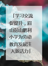 学习交流促提升，眉山彭山鹏利小学为劳动教育发展注入新活力