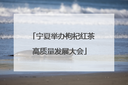 宁夏举办枸杞红茶高质量发展大会