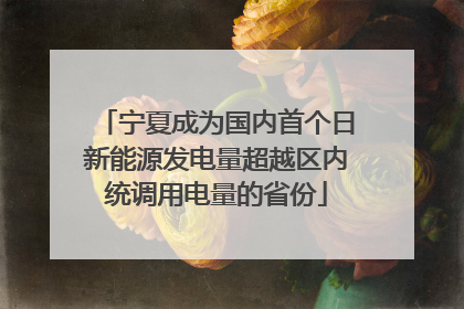 宁夏成为国内首个日新能源发电量超越区内统调用电量的省份