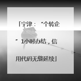 宁津：“个转企”1小时办结，信用代码无缝延续
