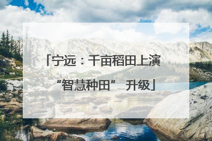 宁远：千亩稻田上演 “智慧种田” 升级