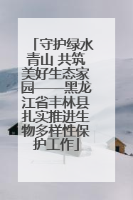 守护绿水青山 共筑美好生态家园——黑龙江省丰林县扎实推进生物多样性保护工作