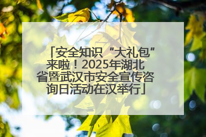 安全知识“大礼包”来啦！2025年湖北省暨武汉市安全宣传咨询日活动在汉举行