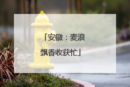 安徽：麦浪飘香收获忙