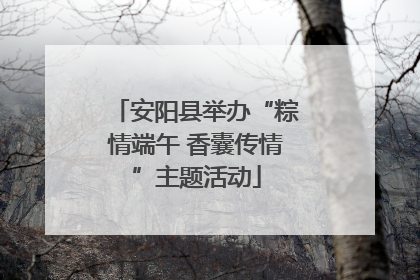 安阳县举办“粽情端午 香囊传情”主题活动