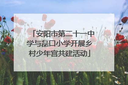 安阳市第二十一中学与磊口小学开展乡村少年宫共建活动