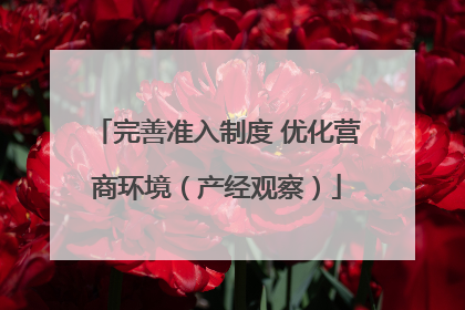完善准入制度 优化营商环境（产经观察）