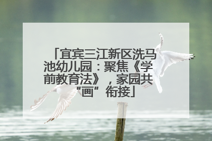 宜宾三江新区洗马池幼儿园：聚焦《学前教育法》，家园共“画”衔接