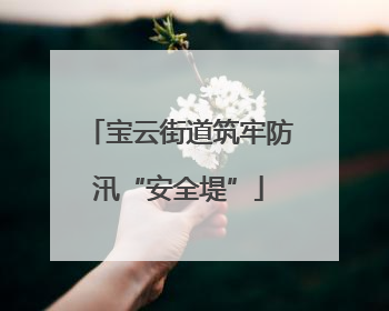 宝云街道筑牢防汛“安全堤”