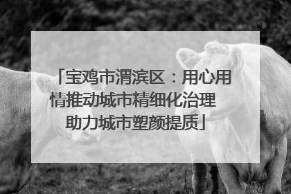 宝鸡市渭滨区：用心用情推动城市精细化治理 助力城市塑颜提质