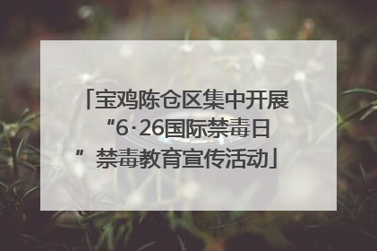 宝鸡陈仓区集中开展“6･26国际禁毒日”禁毒教育宣传活动