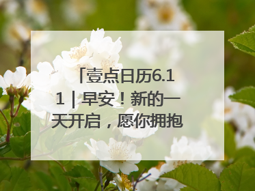 壹点日历6.11｜早安！新的一天开启，愿你拥抱希望，追逐梦想