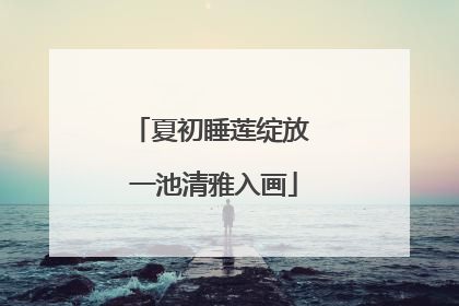 夏初睡莲绽放 一池清雅入画