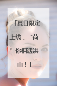 夏日限定上线，“荷”你相遇洪山！