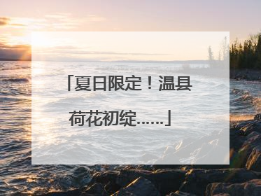 夏日限定！温县荷花初绽……