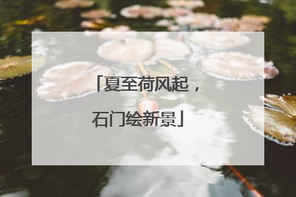 夏至荷风起，石门绘新景