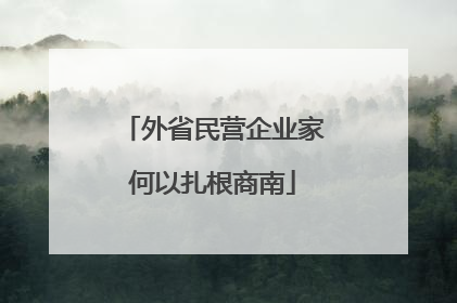 外省民营企业家何以扎根商南