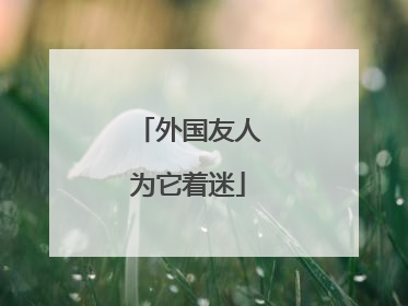 外国友人为它着迷