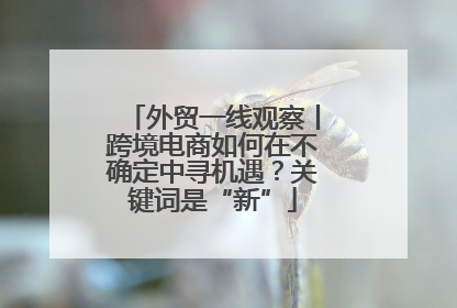 外贸一线观察丨跨境电商如何在不确定中寻机遇？关键词是“新”