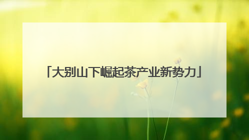 大别山下崛起茶产业新势力