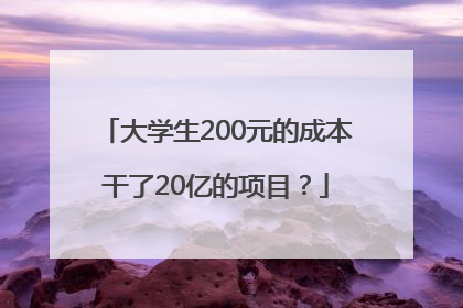 大学生200元的成本干了20亿的项目？