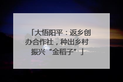 大悟阳平：返乡创办合作社，种出乡村振兴“金稻子”