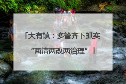 大有镇：多管齐下抓实“两清两改两治理”