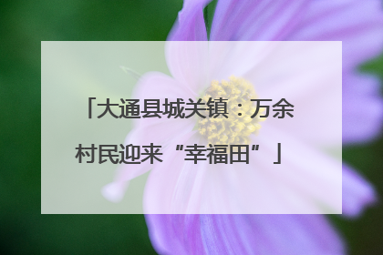 大通县城关镇：万余村民迎来“幸福田”