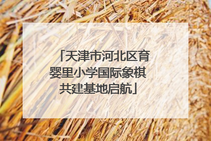 天津市河北区育婴里小学国际象棋共建基地启航