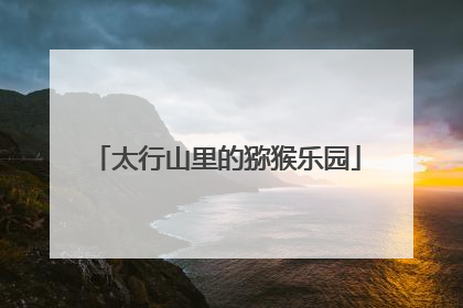 太行山里的猕猴乐园