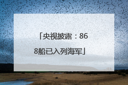 央视披露：868船已入列海军