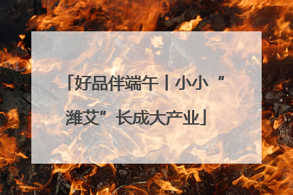 好品伴端午丨小小“潍艾”长成大产业