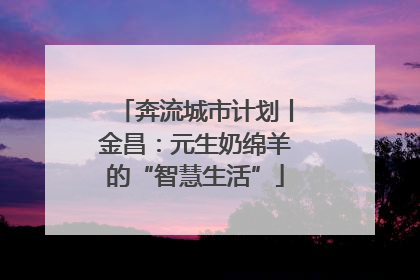 奔流城市计划丨金昌：元生奶绵羊的“智慧生活”