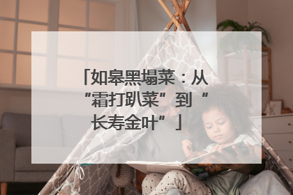 如皋黑塌菜：从“霜打趴菜”到“长寿金叶”