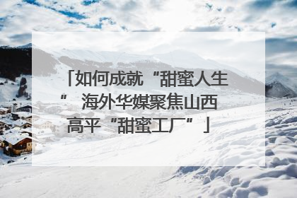 如何成就“甜蜜人生” 海外华媒聚焦山西高平“甜蜜工厂”