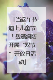 当端午节遇上儿童节！岳麓消防开展“双节”开放日活动