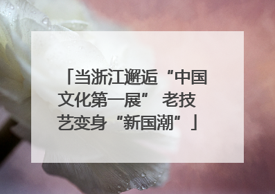 当浙江邂逅“中国文化第一展” 老技艺变身“新国潮”