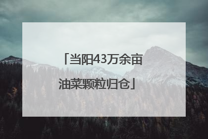 当阳43万余亩油菜颗粒归仓
