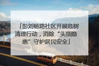 彭刘杨路社区开展危树清理行动，消除“头顶隐患”守护居民安全