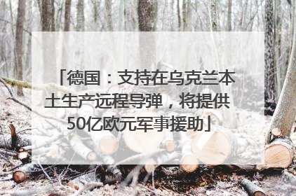 德国：支持在乌克兰本土生产远程导弹，将提供50亿欧元军事援助