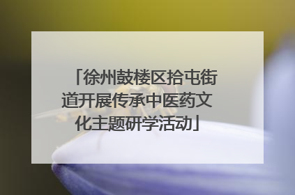 徐州鼓楼区拾屯街道开展传承中医药文化主题研学活动