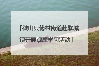 微山县傅村街道赴驩城镇开展观摩学习活动
