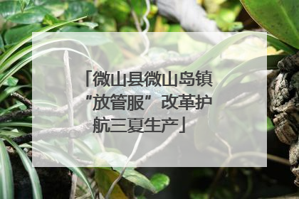 微山县微山岛镇“放管服”改革护航三夏生产
